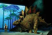 Stegosaurus @ DINOSAURIER - Im Reich der Giganten - Das Live-Spektakel vom 28.02.-03.03.2013 Münchner Olympiahalle (©Fotos: PMG)